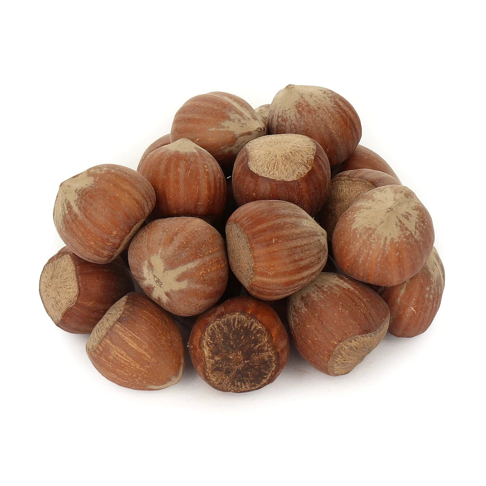 Orzechy laskowe w skorupie 1 kg