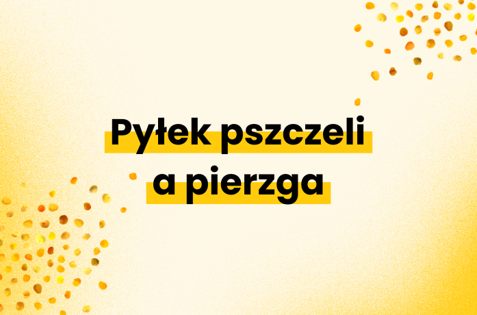 Pyłek pszczeli a pierzga